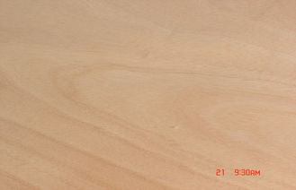 Vành gỗ Okoume màu vàng tự nhiên, 0.20 mm - 0.60 mm Vene tròn