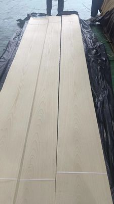 Tự nhiên cắt American White Ash gỗ veneer lá Crown cắt cho gỗ dán