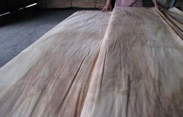 Bản tóm tắt tự nhiên Cắt tấm ván Birch Một lớp, veneer gỗ tự nhiên