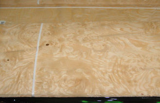 Ván lát ván tự nhiên bằng gỗ tự nhiên màu trắng Lát cắt 0.5mm Độ dày để hoàn thiện nội thất