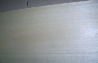 0.5mm Độ dày Veneer lát, veneer Birch trắng tự nhiên cho nội thất